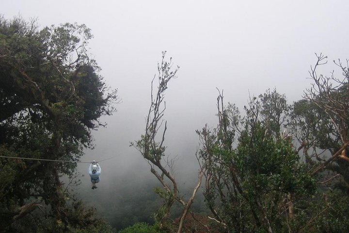 ziplining through the Monteverde Cloud Forest - Native's Way Costa Rica Tours & Packages 